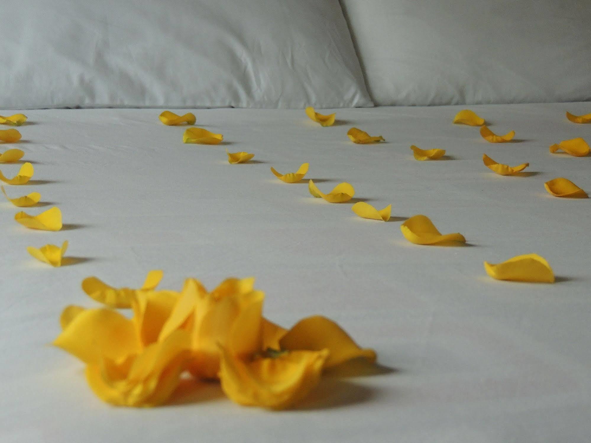 Titan Hotel & Spa Bogotá Kültér fotó